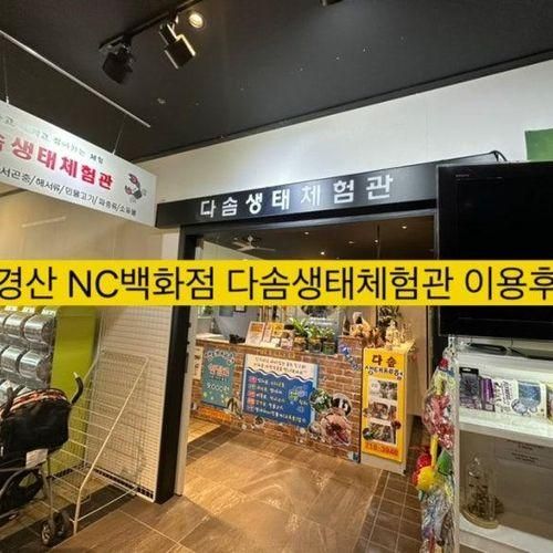 2023년 :: 경산 NC백화점 다솜생태체험 (대구 아이랑...