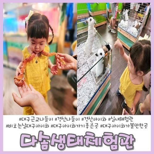 실내 먹이체험 경산 다솜생태체험관 비오는날 대구 아이와...