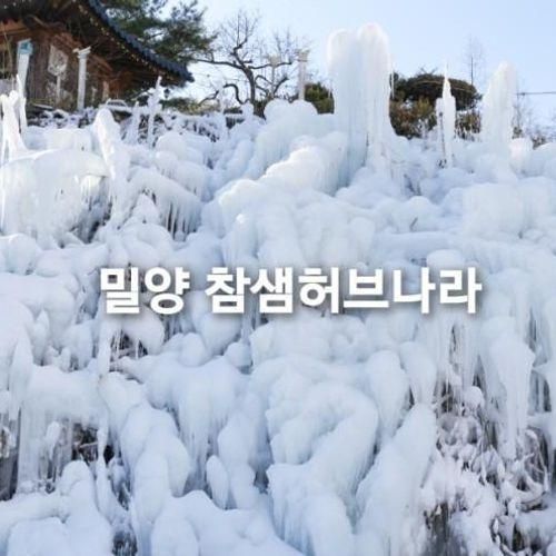 밀양 눈썰매장 참샘허브나라 아이와 겨울 국내여행