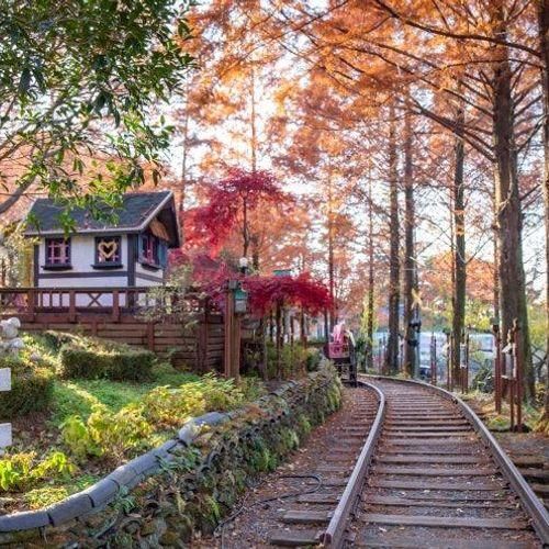 「밀양 가볼 만한 곳」 가을빛 가득 머금은 밀양 <참샘허브나라>