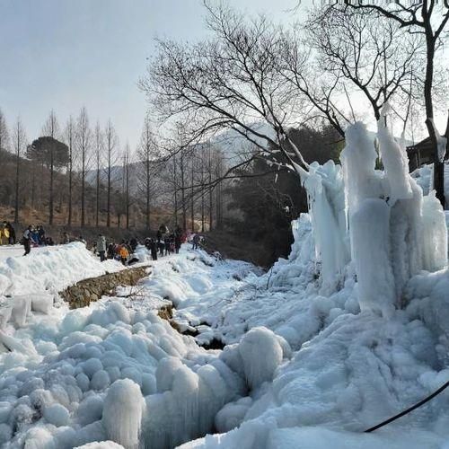 밀양 신나는 겨울 나들이 아이들과 가볼 만한 곳 참샘허브나라