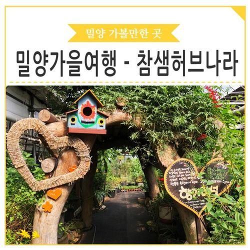 밀양 가을여행 - 참샘 허브나라 가을 축제