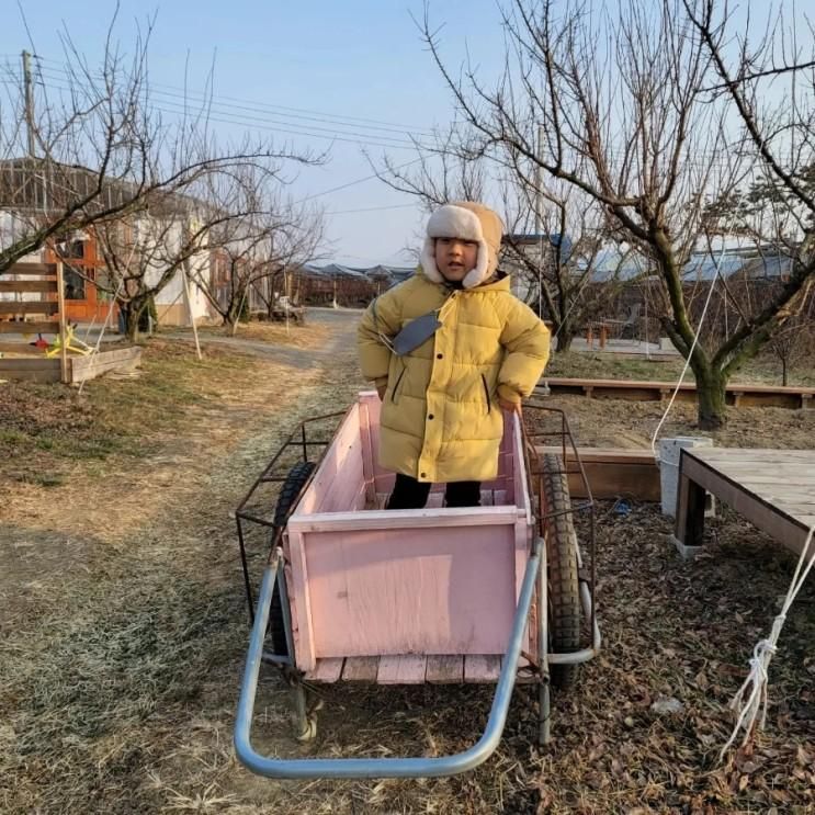 반짝반짝 빛나는 별의도시 영천 부농딸기 팜피크닉 6회차...