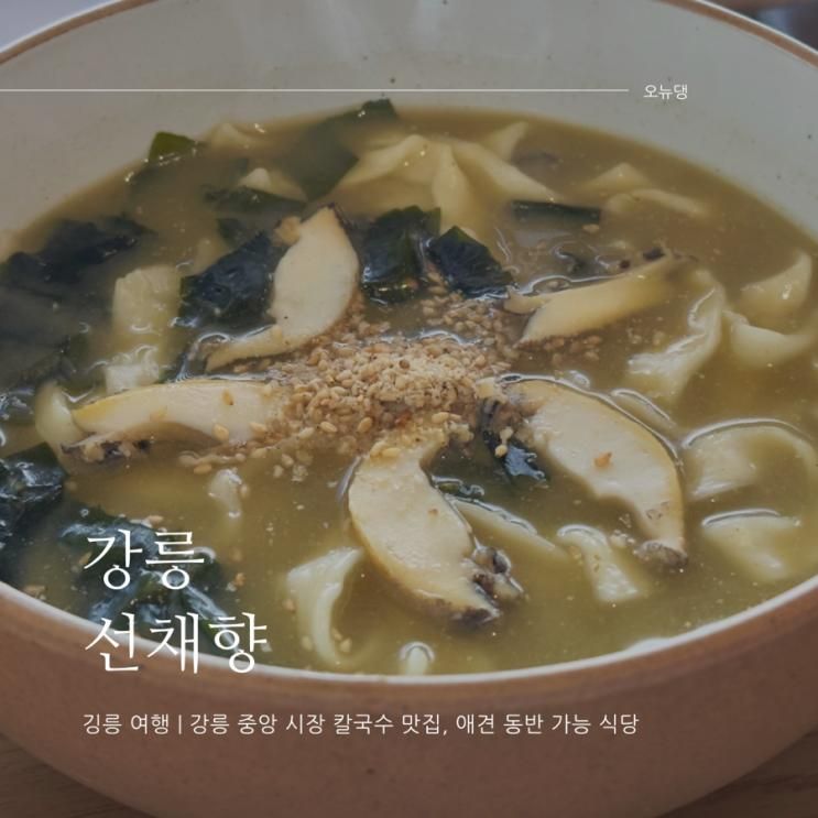 강릉 칼국수 맛집 선채향 애견 동반 식당