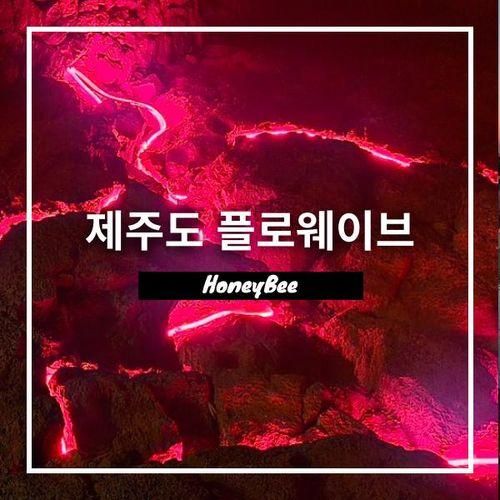 제주도 플로웨이브 낙화 축제 환승연애3 출현 카페 (주차...