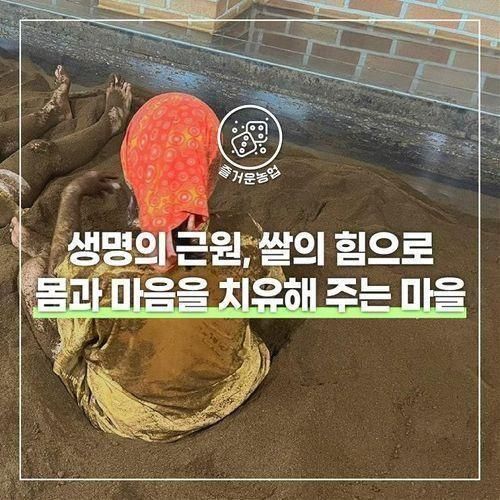 생명의 근원, 쌀의 힘으로 몸과 마음을 치유하는 '초록미소마을'