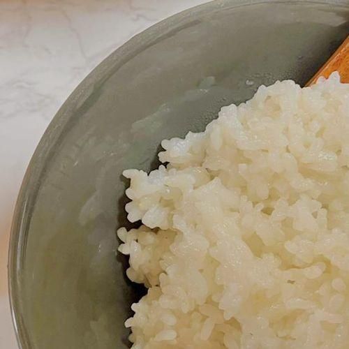 고시히카리쌀_가치해평택에서 초록미소마을 탱탱쌀