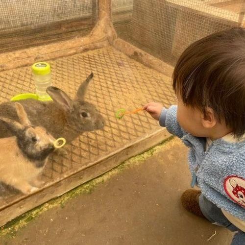 [초록미소마을힐링가든]평택 아기랑 갈만한 곳...