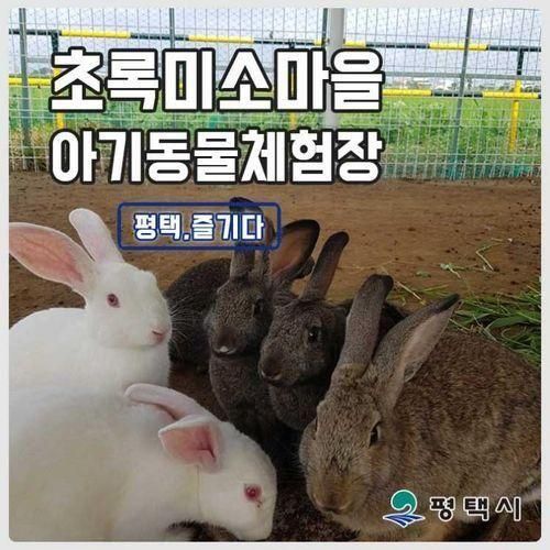 초록미소마을 힐링가든 아기동물체험장이 개장했어요!