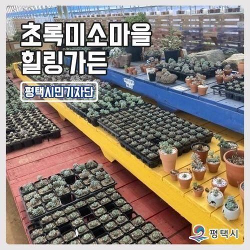 평택 아이와 함께 가볼 만한 곳, 초록미소마을 힐링 가든...