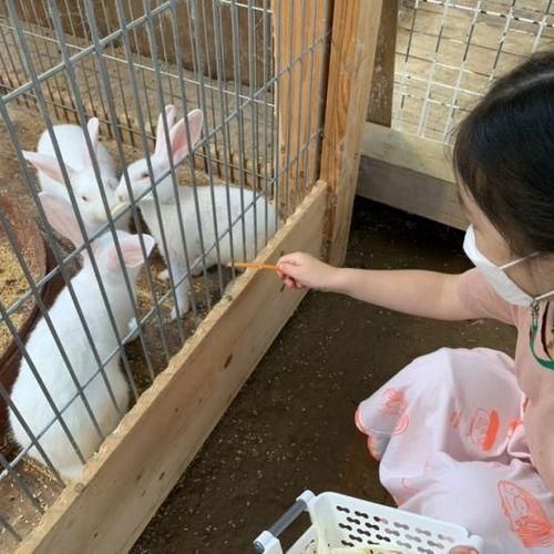 평택 아이와 가볼만한 곳, 동물 먹이주기 체험 '초록미소마을...