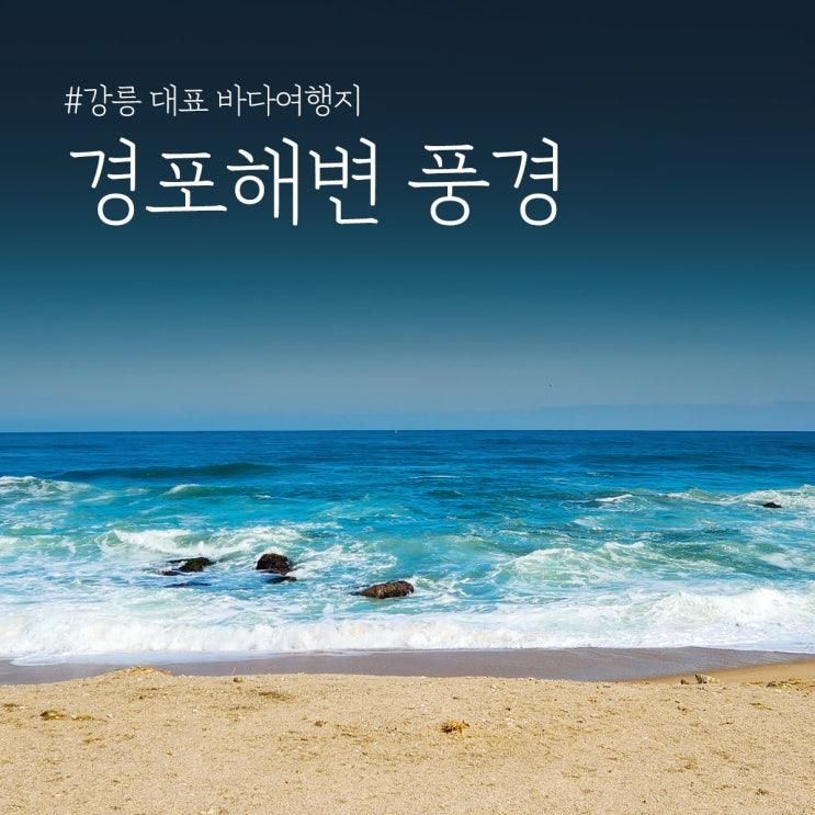 강릉 대표 바다여행지 경포해변 풍경