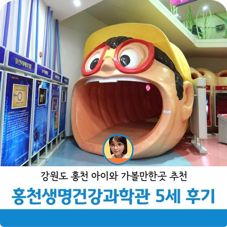 홍천 아이와 가볼만한곳 추천 실내놀이터 홍천생명건강과학관