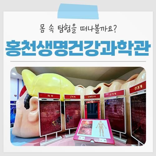 [홍천 가볼만한곳] 몸 속 탐험을 떠나볼까요? 홍천생명건강과학관