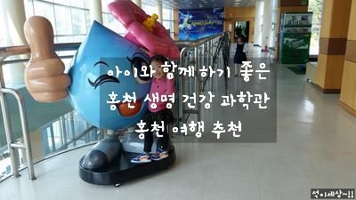 [강원도 홍천] 홍천 생명 건강 과학관 / 아이와 함께 하면 좋은...