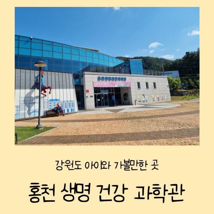 강원도 아이와 가볼만한 곳 홍천 생명 건강 과학관