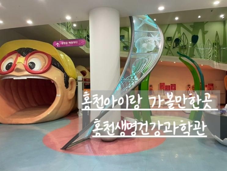 홍천 아이와 가볼만한 곳 홍천생명건강과학관