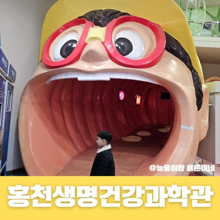 아이와 가볼 만한 곳 홍천생명건강과학관