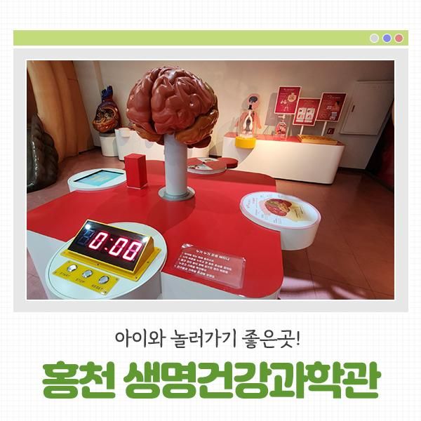 [홍천 가볼만한곳] 홍천아이와가볼만한곳 생명건강과학관