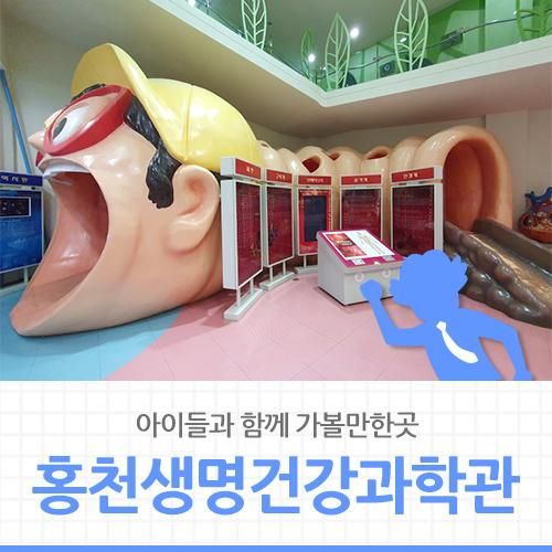 [랜선여행] 아이들과 함께 가볼만한곳 홍천생명건강과학관