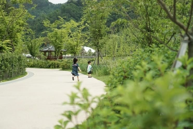 수타사농촌테마공원, 홍천생명건강과학관