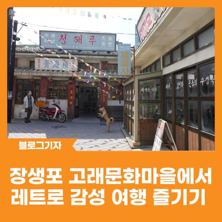 [블로그 기자]  장생포 고래문화마을에서 레트로 감성 여행 즐기기