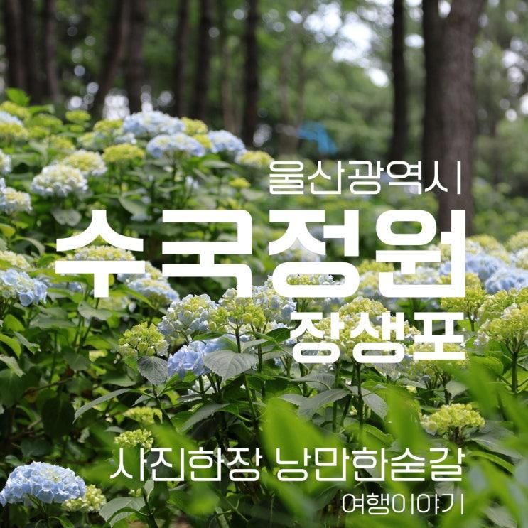 울산 장생포 Chapter 2. 고래문화마을 수국정원.