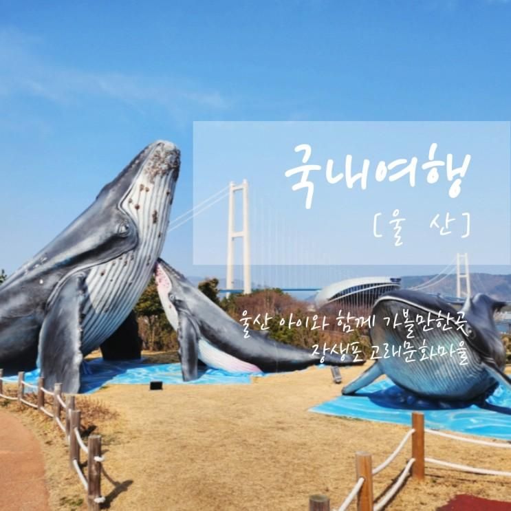 울산 아이와 함께 가볼만한곳 장생포고래문화마을 장생포옛마을