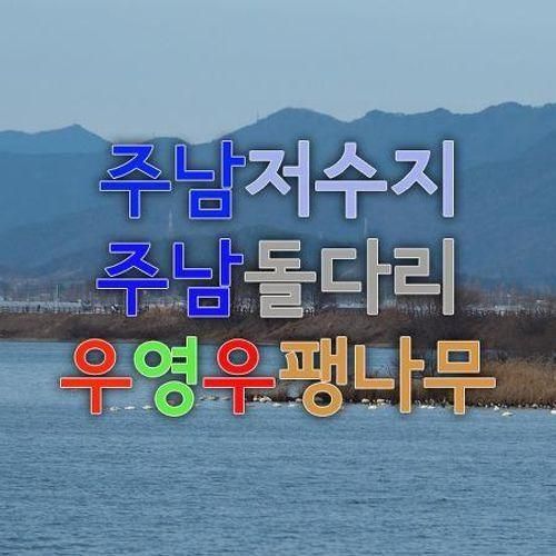 겨울 여행지 추천 - 창원 주남 저수지, 주남 돌다리, 우영우 팽나무