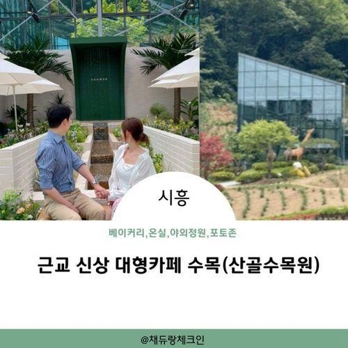 경기도 시흥 대형카페 수목, 산골수목원 (베이커리, 야외...