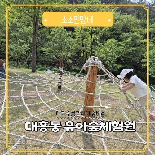 대구 수성구 아이 모래놀이 대흥동 유아숲 체험원