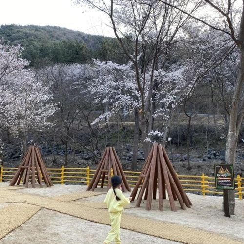 대구 수성구 대흥동 유아숲체험원 신상 숲놀이터