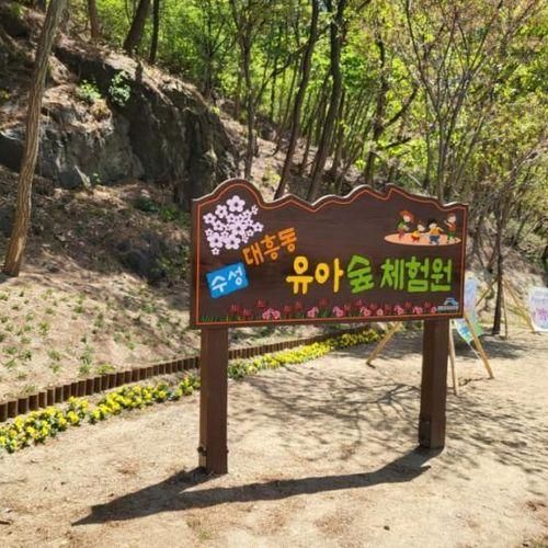 대구아이랑가볼만한곳 대구 수성 대흥동 유아숲체험원 강추