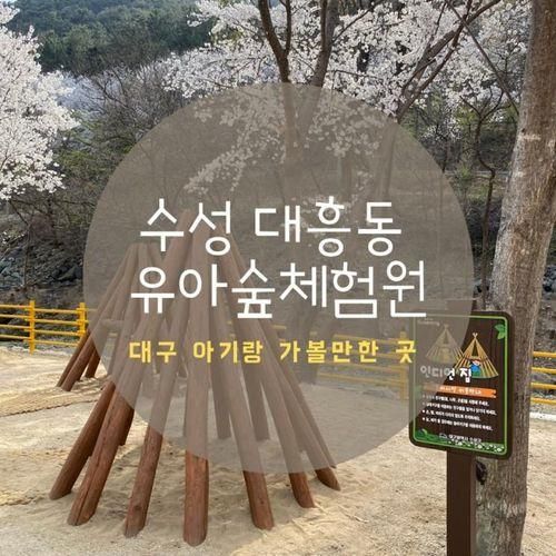 대구 근교 신상 숲놀이터 추천 수성구 대흥동 유아숲체험원