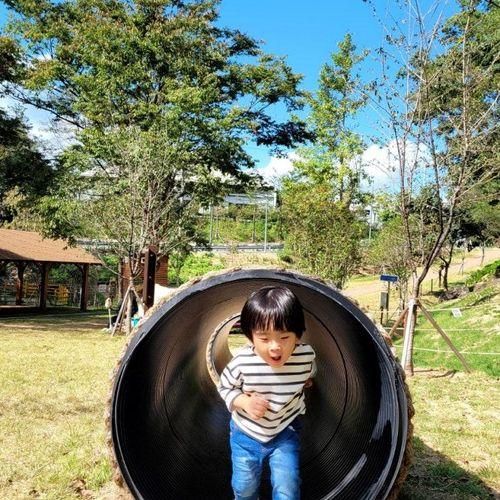 대구 아이랑 가볼만한곳 대흥동 유아숲체험원