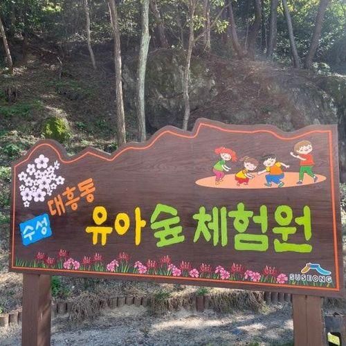 [대구, 아이랑 가볼만한 곳] 수성 대흥동 유아 숲 체험원