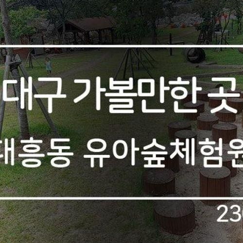 아이와 가볼만한곳 :: 대구스타디움 대흥동 유아숲체험원