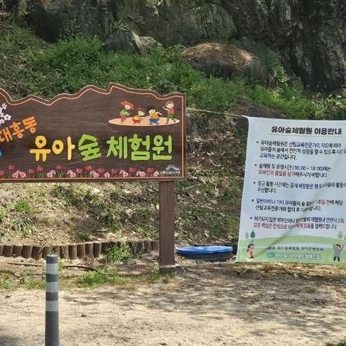 [아이와 가볼 만한 곳] 대구 수성구 "대흥동 유아숲 체험원"