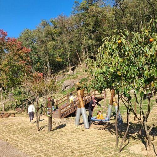 [대구/대흥동유아숲체험원] 수성구 아이랑 가볼만 한 신상 숲...