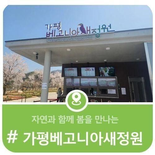 자연과 함께 봄을 만나는 가평베고니아새정원