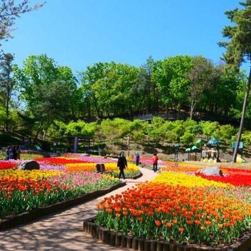 경기도 가볼만한곳 : 의정부 직동근린공원 튤립 북한산 둘레길