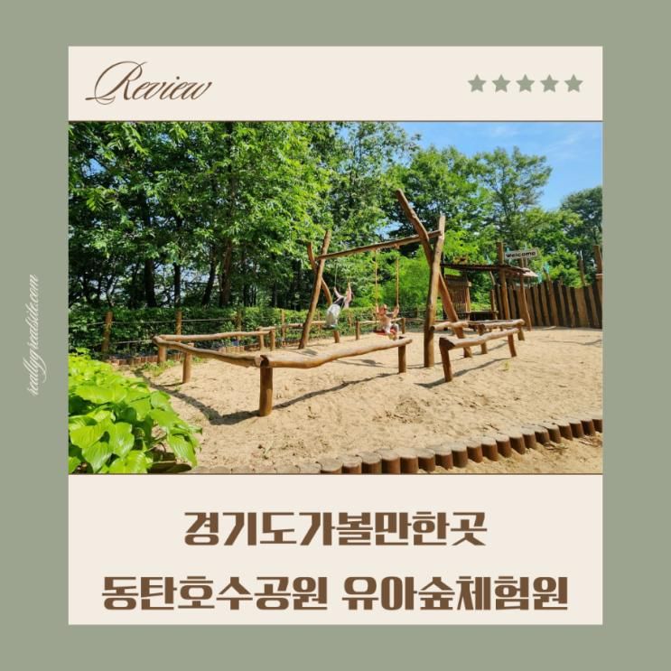 경기도 유아 가볼만한곳 동탄호수공원 유아숲체험원