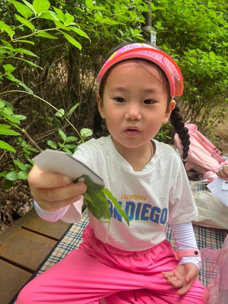 동탄유아숲체험 '동고비생태학교' (동탄호수공원숲체험원)