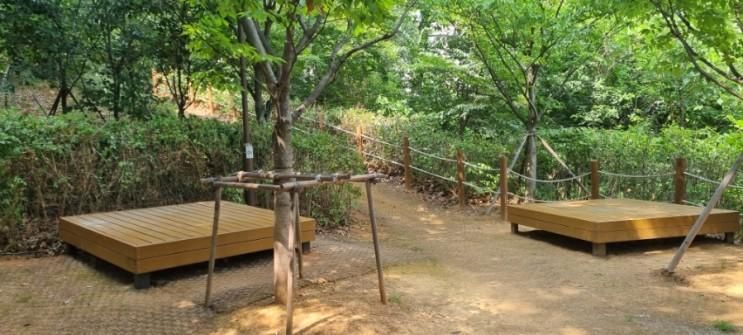 동탄호수공원 피크닉 유아숲 체험원