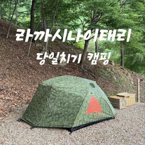 서울근교 캠프닉 라까시나이태리 반려견 동반 당일치기 캠핑