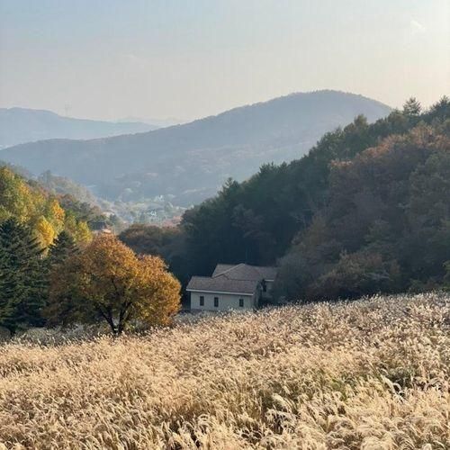 [경기도/광주] 당일 캠핑장 라까시나이태리 (억새뷰)