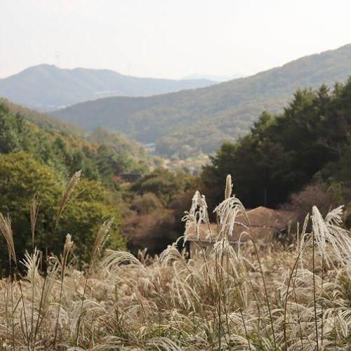 당일치기 캠핑장 라까시나이태리 경기도 광주 가볼만한 곳