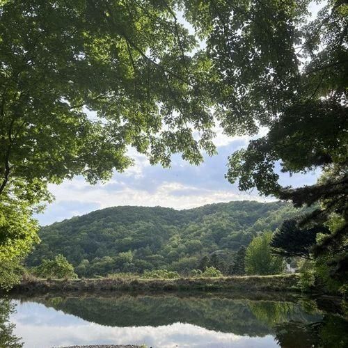 경기도 광주 취사가능, 애견동반 당일 캠크닉 : 라까시나이태리