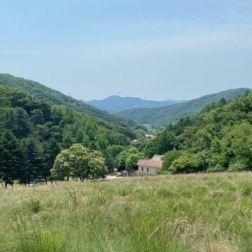 라까시나이태리 캠프닉 명당 (아기랑 세 번이나 방문한 후기)...