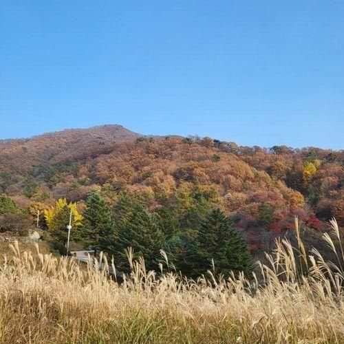 경기도 캠크닉 광주 라까시나 이태리 당일 아이와 가볼 만한 곳